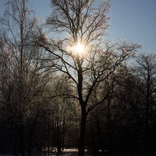 Photo #13648280