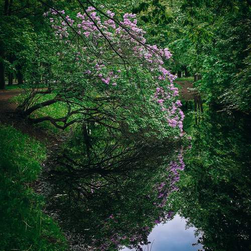 Photo #13648334