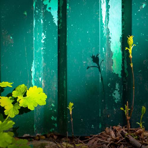 Photo #13648380