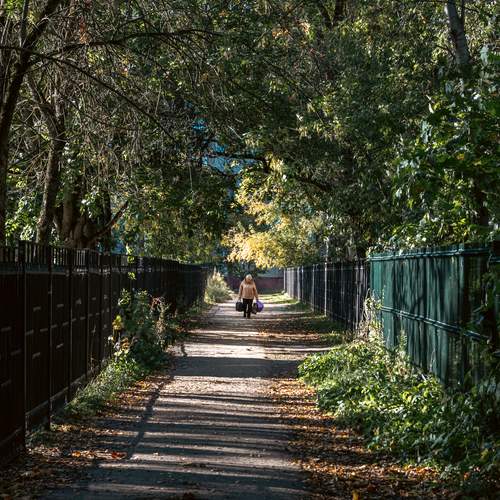 Photo #13648389
