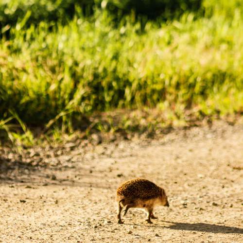 Photo #13648430