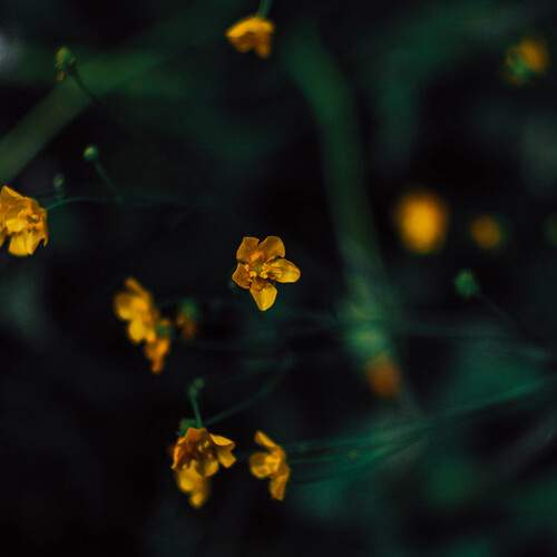 Photo #13648443