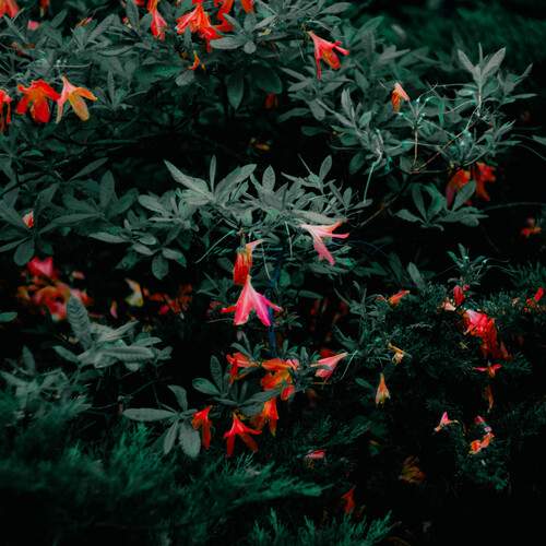 Photo #13648447