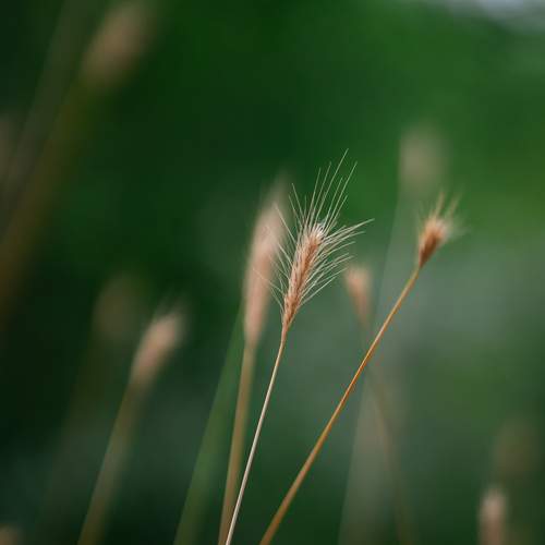 Photo #13648448