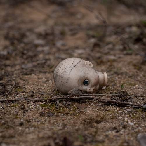 Photo #13648500