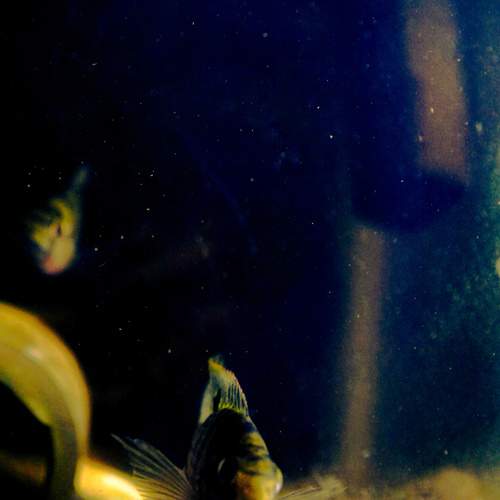 Photo #13648682