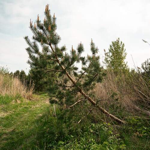 Photo #13648716