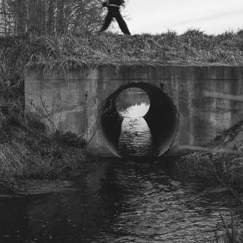 Photo #13648718