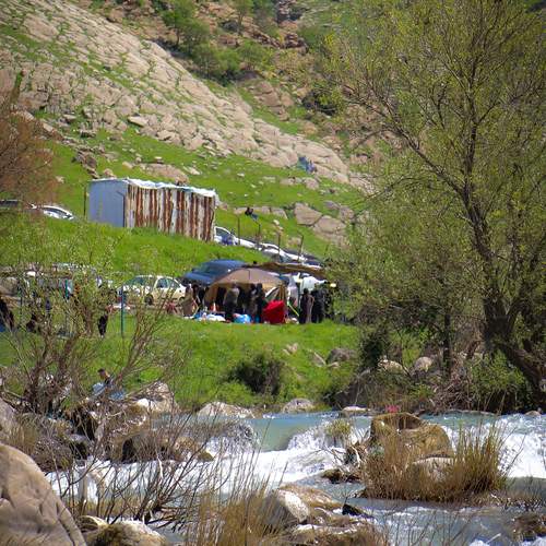Photo #13648740