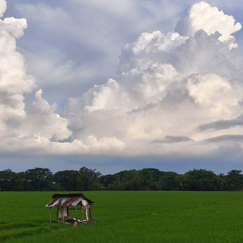 Photo #13648751