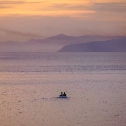 Photo #13648767