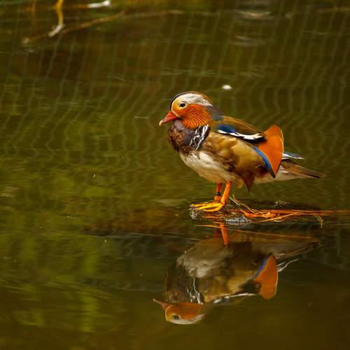 Photo #13648783