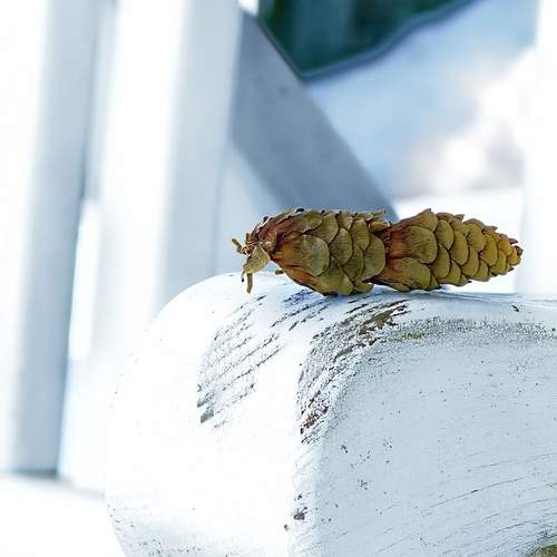 Photo #13648839