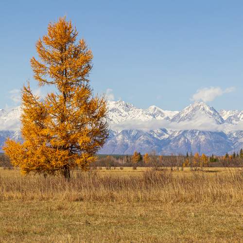 Photo #13648847