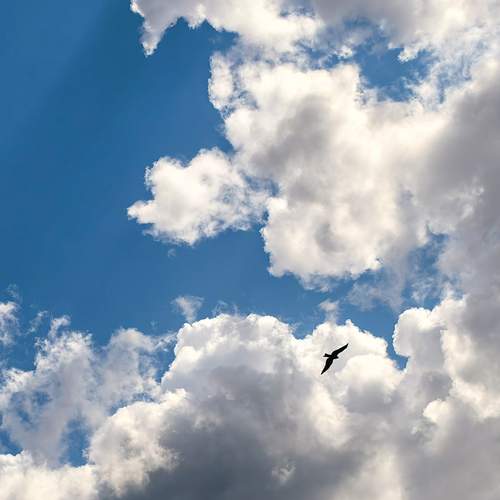 Photo #13648888