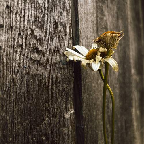 Photo #13648899
