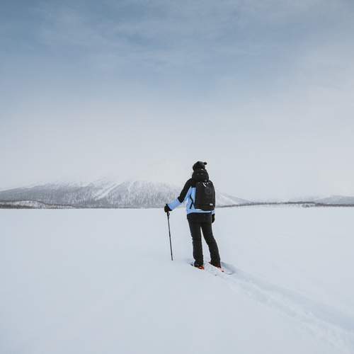 Photo #13648969