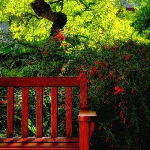 Photo #13649164