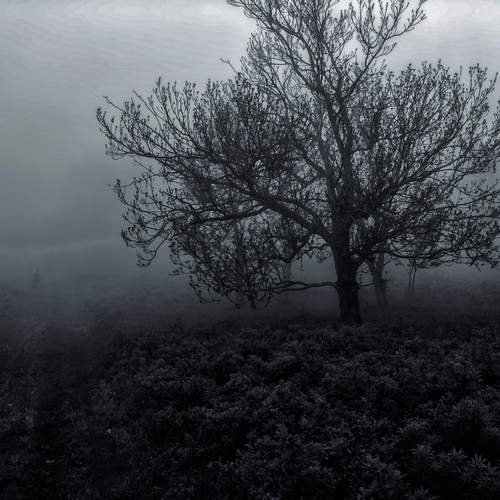 Photo #13649220
