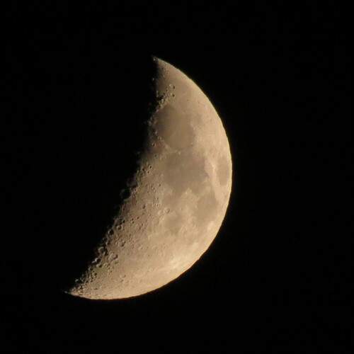 Photo #13649253