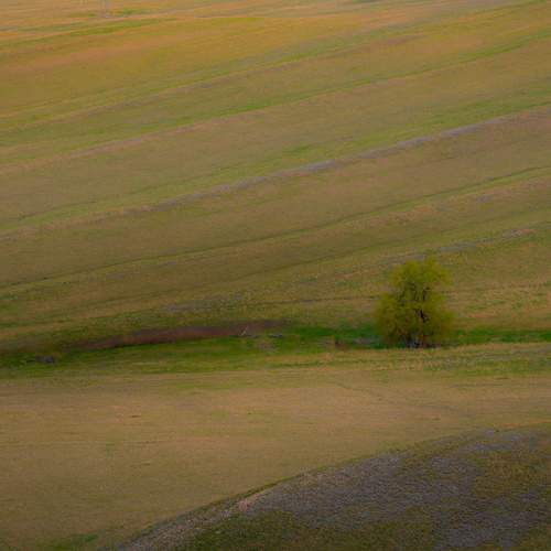 Photo #13649258