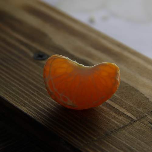 Photo #13649273