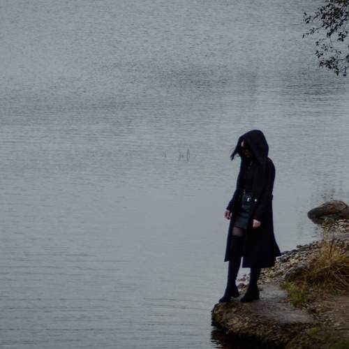Photo #13649287