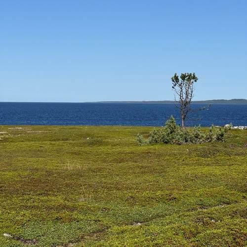 Photo #13649354