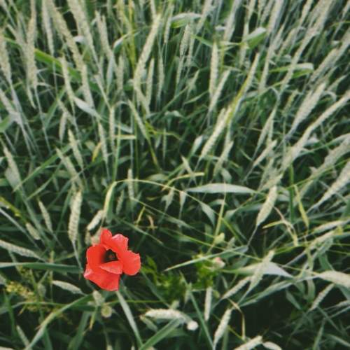 Photo #13649380