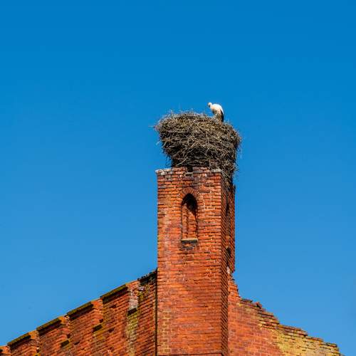 Photo #13649404