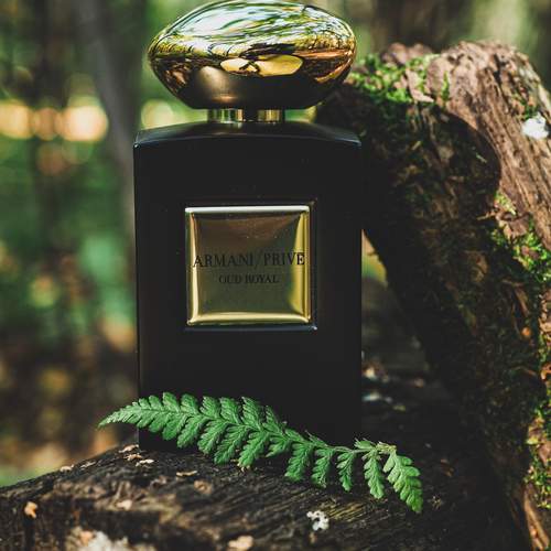Photo #13649423