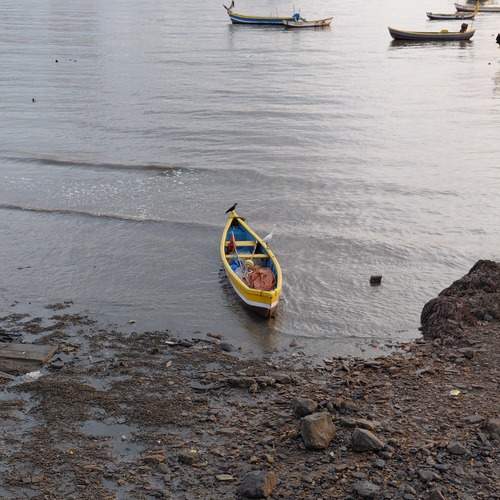 Photo #13649425