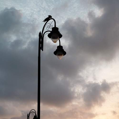 Photo #13649426