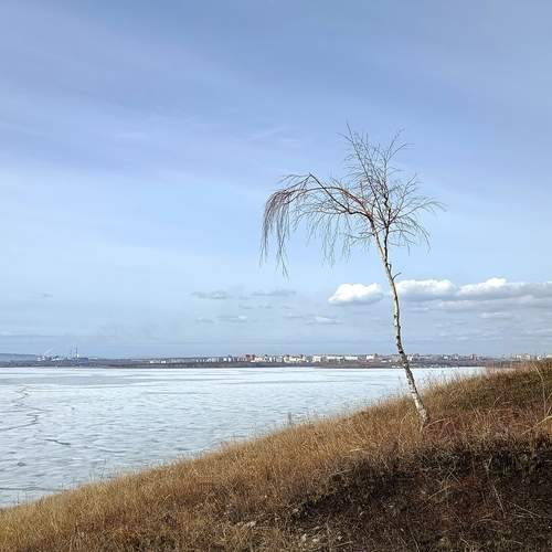 Photo #13649564