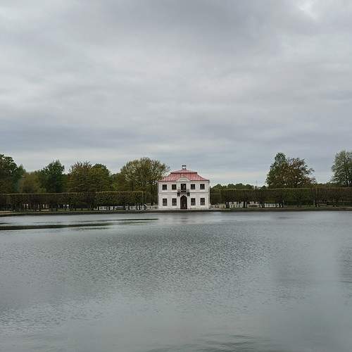 Photo #13649635