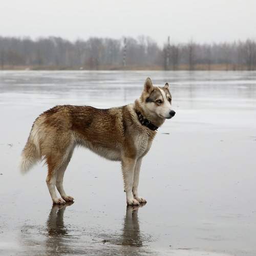Photo #13649651