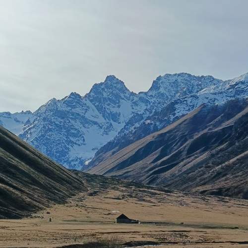 Photo #13649662