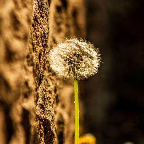 Photo #13649730