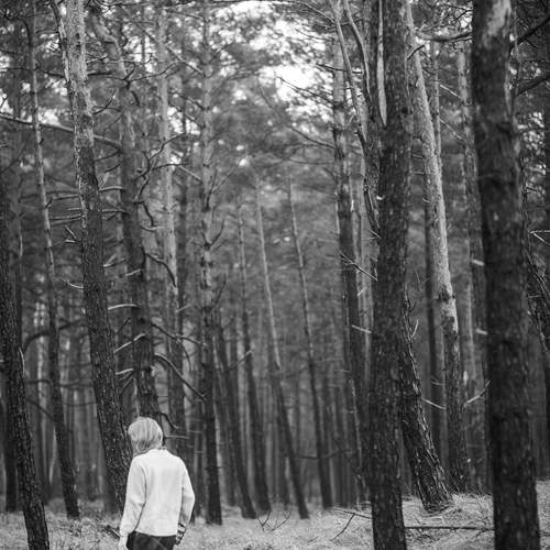 Photo #13649800