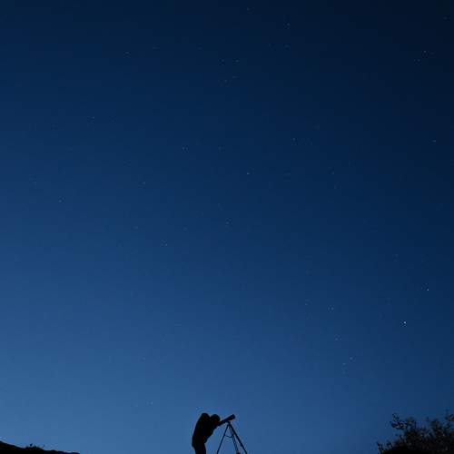 Photo #13649801