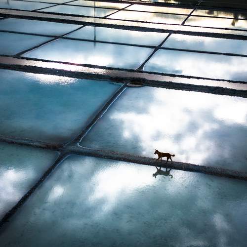 Photo #13649853