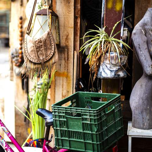 Photo #13649858