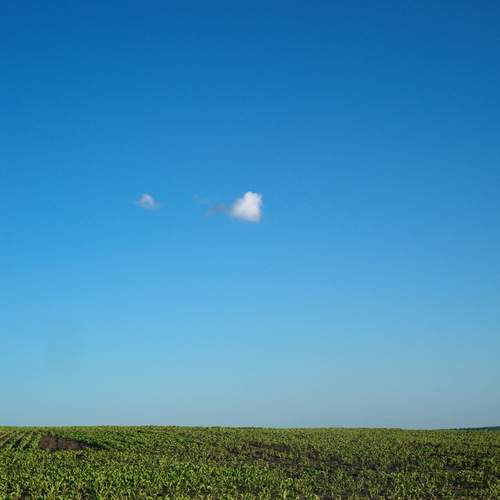 Lonely Cloud Over the Field