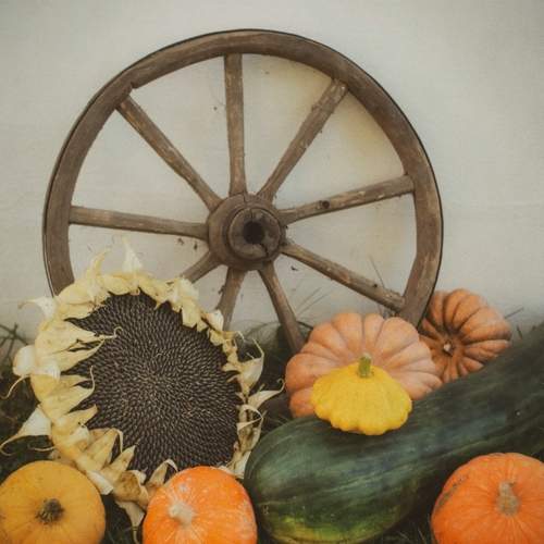 Photo #13649900