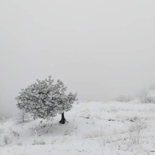 Photo #13649903