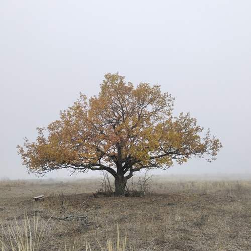 Photo #13649908