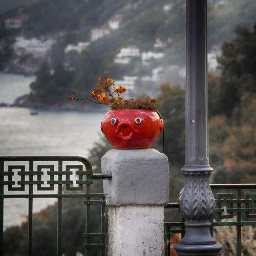 Photo #13649984