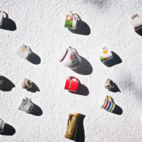 Photo #13649985