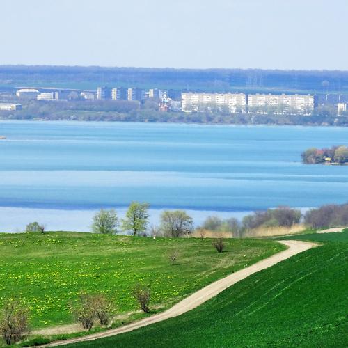 Родные мотивы