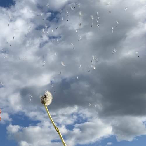 Photo #13650030